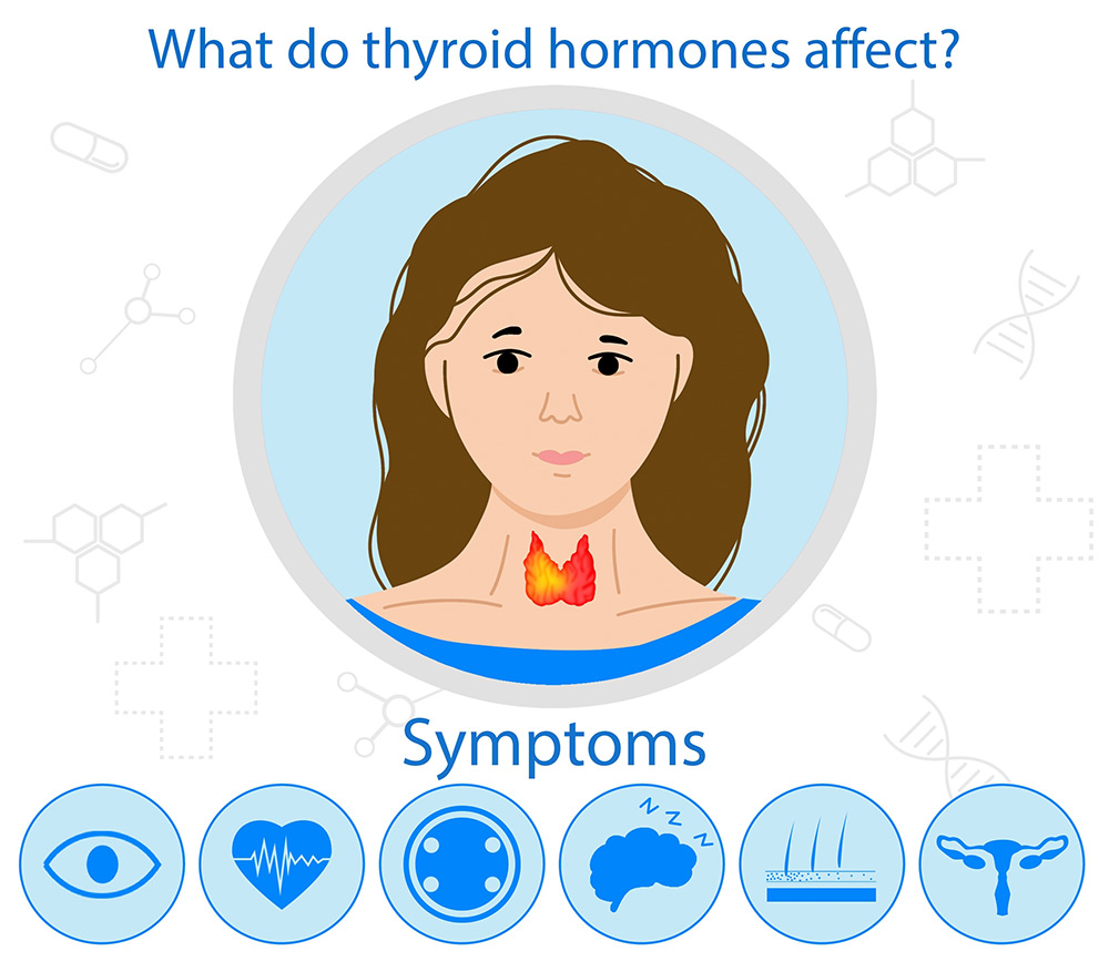 what does thyroid hair loss look like, thyroid-related hair loss, diffuse hair thinning thyroid, thyroid hair shedding